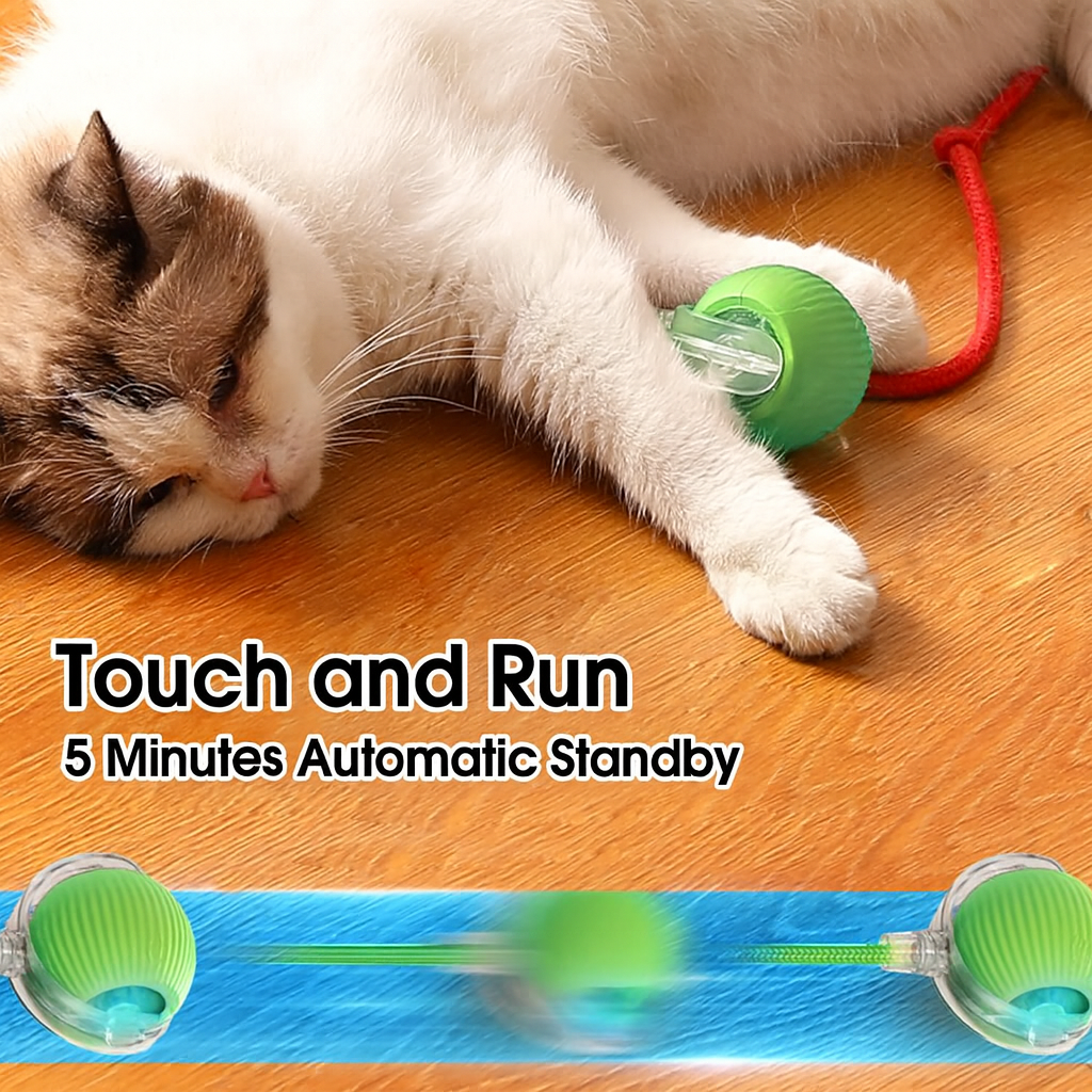 Smart Interactive Pet Ball – USB Rechargeable Bouncing Toy for Dogs & Cats