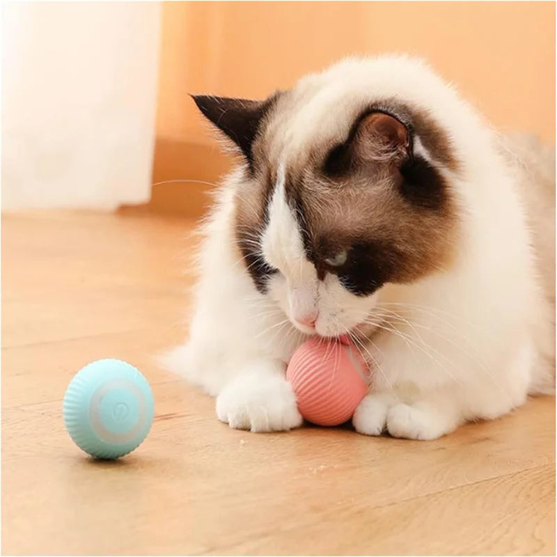 Smart Interactive Pet Ball – USB Rechargeable Bouncing Toy for Dogs & Cats